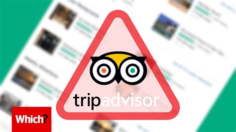 are trip advisor reviews fake
